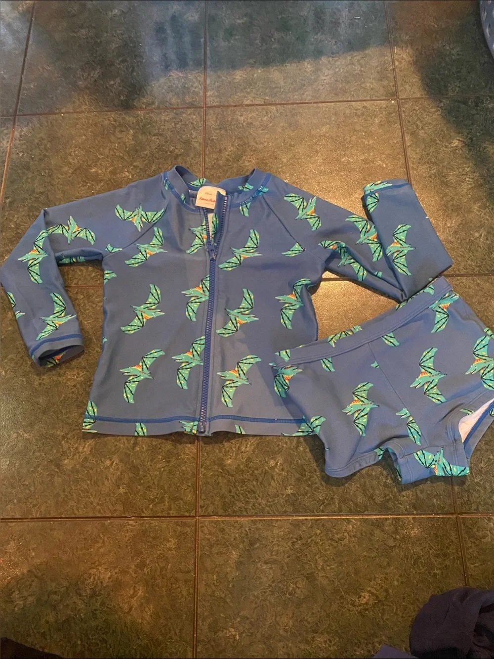 Teradactyl Rash Guard Set - Long Sleeve Zip Top & Swim Shorts Hanna Andersson